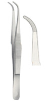 Dissecting Forceps