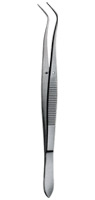 Tooth Tweezers