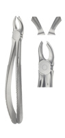 Tooth Forceps for upper Mullers