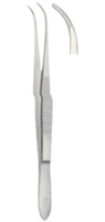 Dissecting Forceps