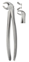 Tooth Forceps for Lower