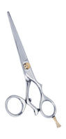 Hair cutting Scissors
