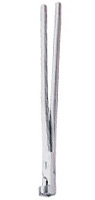 Gunther Tooth